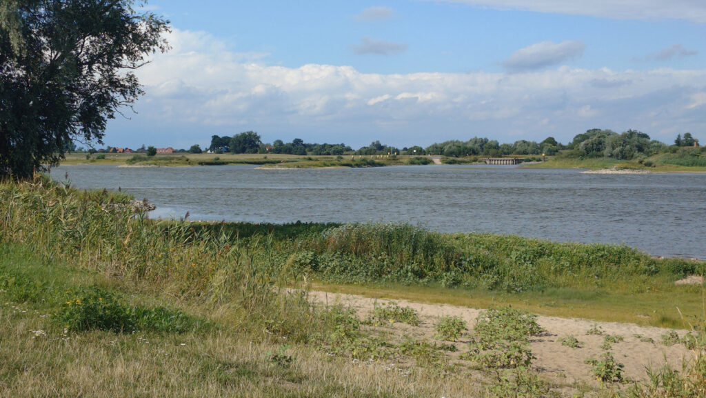 die Elbe bei Hitzacker